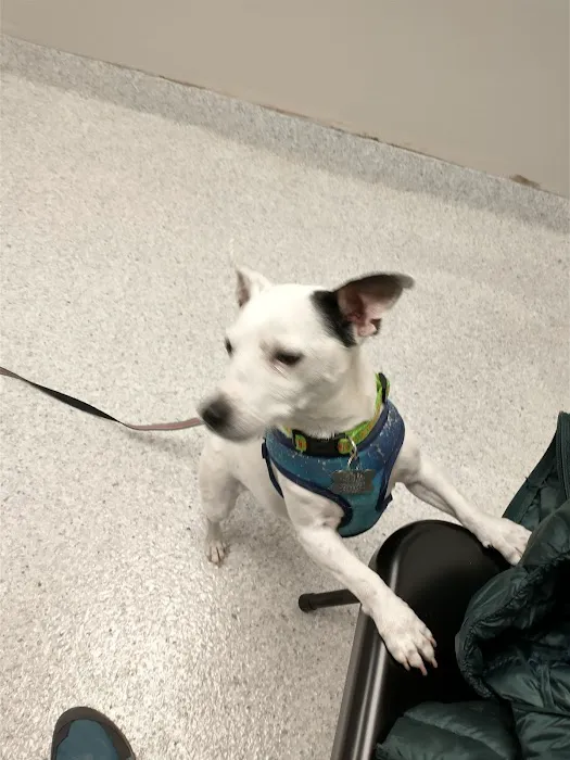 Delaware Northwest Veterinary Clinic Picture 2