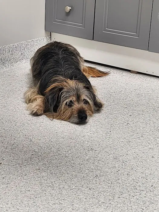 Delaware Northwest Veterinary Clinic Picture 9