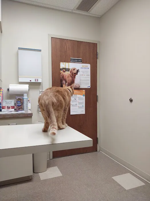 Cross County Veterinary Service Picture 3
