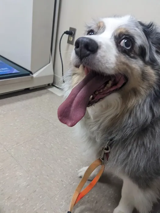Cross County Veterinary Service Picture 9