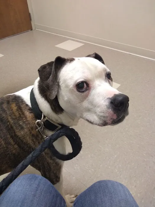 Cross County Veterinary Service Picture 4