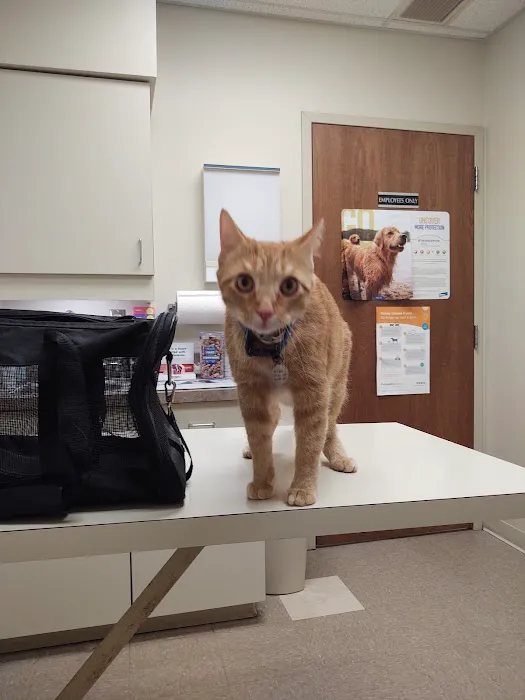 Cross County Veterinary Service Picture 2