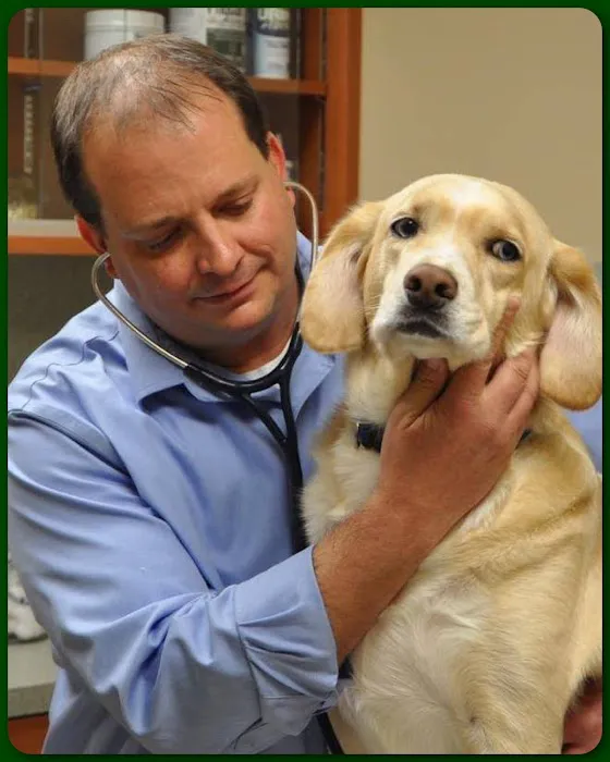Oakside Animal Clinic Picture 1