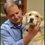 Oakside Animal Clinic