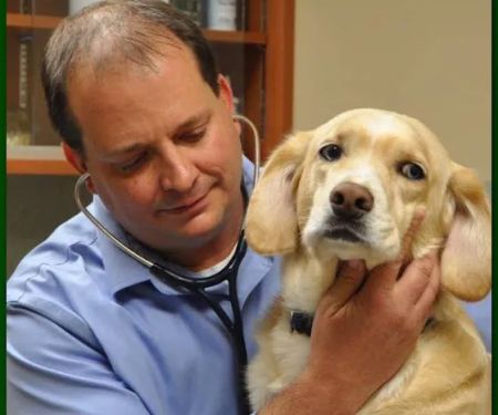 Oakside Animal Clinic