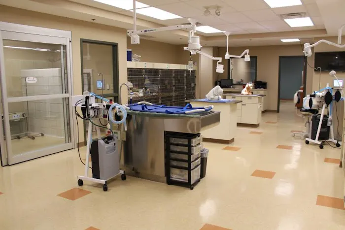 Oakside Animal Clinic Picture 7