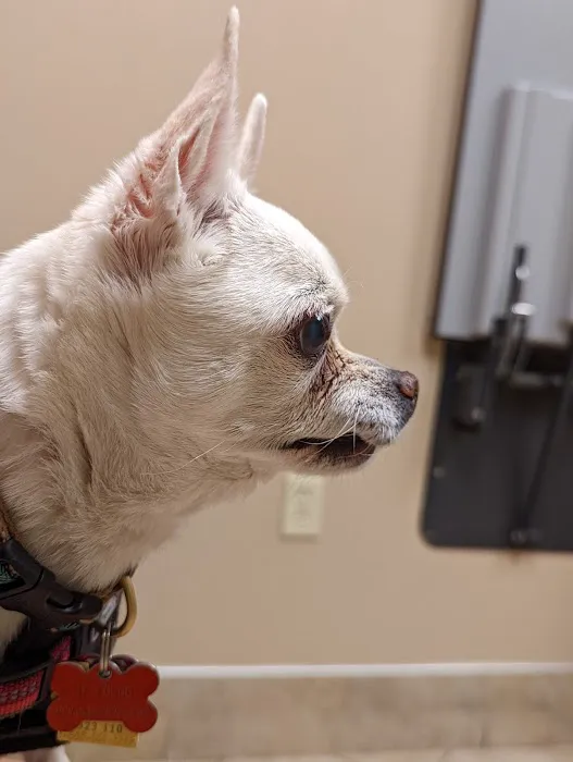 Oakside Animal Clinic Picture 5