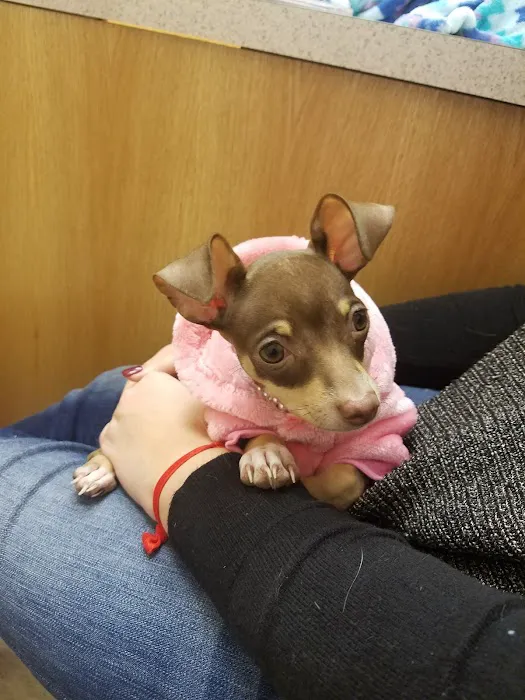 Vetcare Animal Wellness of Delaware LLC Picture 1