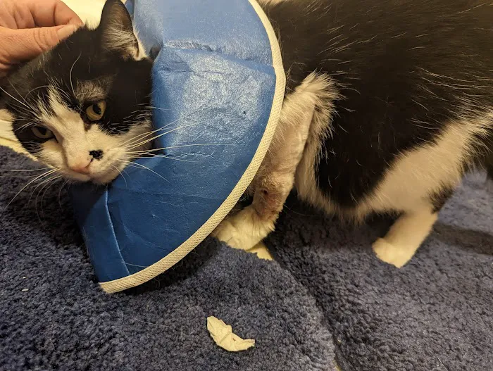 Vetcare Animal Wellness of Delaware LLC Picture 2