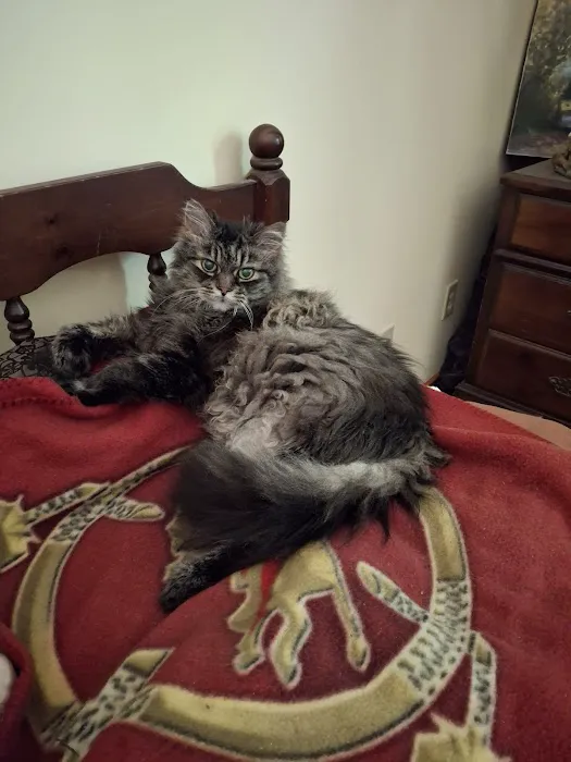 Vetcare Animal Wellness of Delaware LLC Picture 9