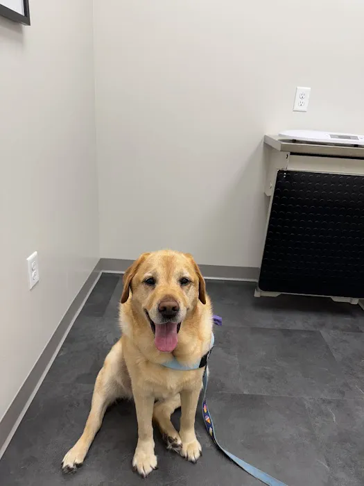 PAWS Veterinary Urgent Care Picture 2