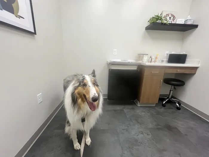 PAWS Veterinary Urgent Care Picture 1