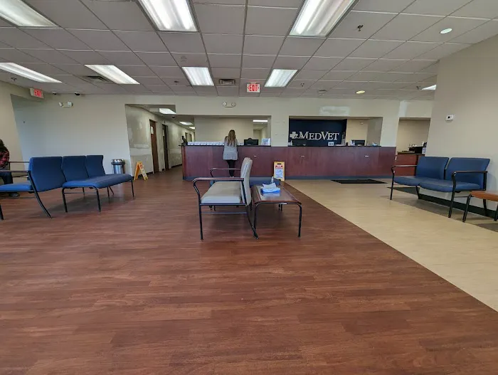 MedVet Columbus Picture 4