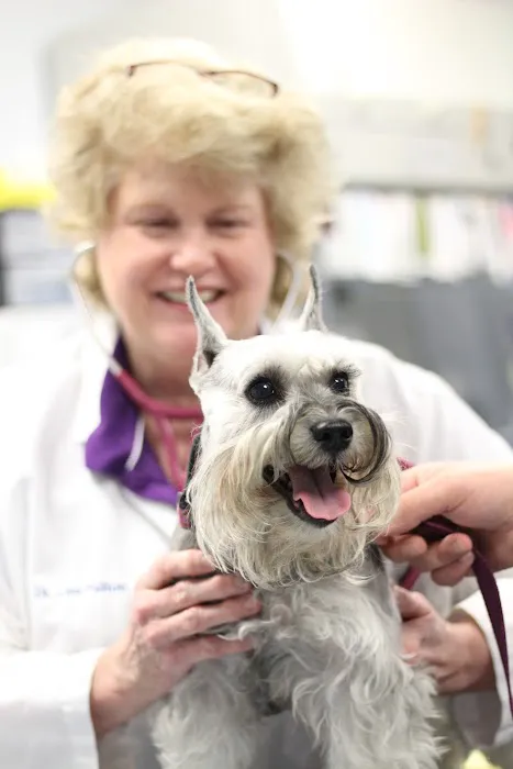MedVet Columbus Picture 2