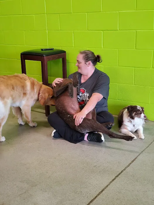Olentangy Premier Pet Care Picture 10