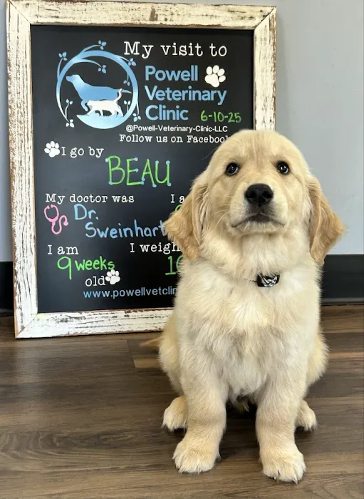 Powell Veterinary Clinic Picture 10