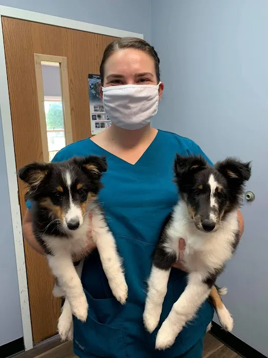 Powell Veterinary Clinic Picture 4