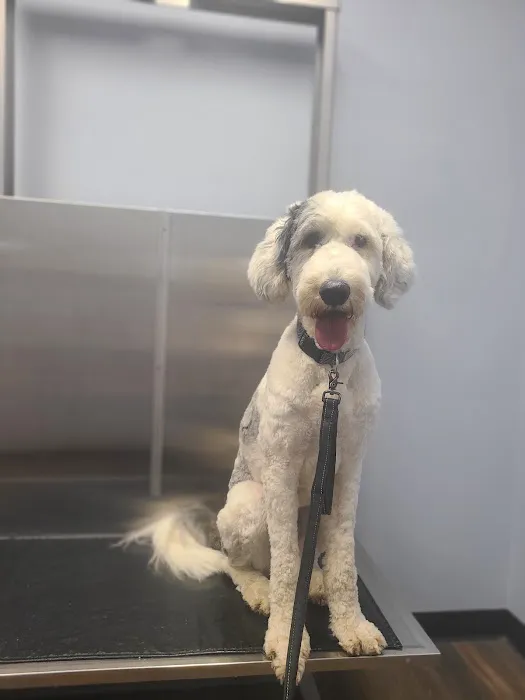 Powell Veterinary Clinic Picture 5