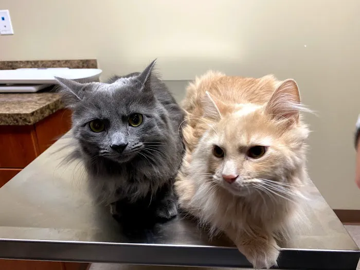 Liberty Pet Hospital Picture 6