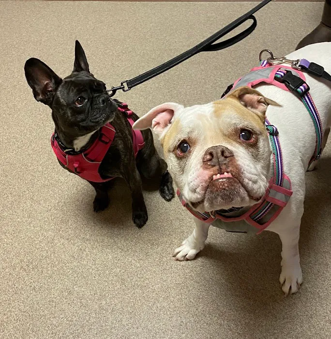Liberty Pet Hospital Picture 5