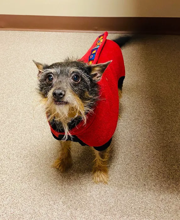 Liberty Pet Hospital Picture 10
