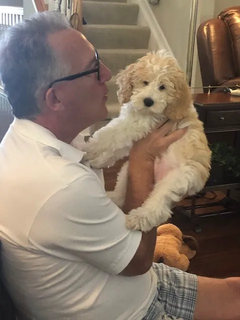 Best Friends Veterinary Hospital Picture 7