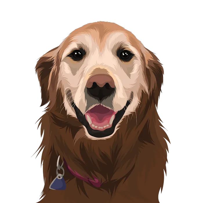 Healthy Pets of Wedgewood Picture 9