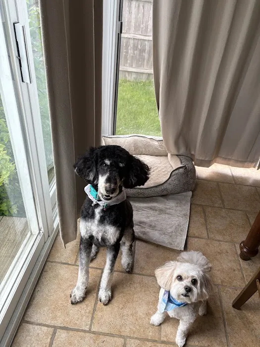 Healthy Pets of Wedgewood Picture 7