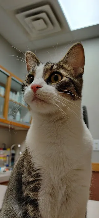 Healthy Pets of Wedgewood Picture 4
