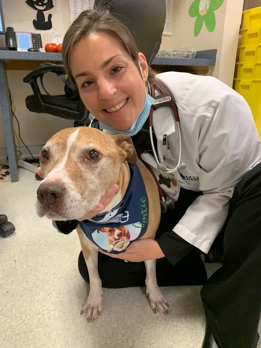 Malone Veterinary Cancer Consulting Picture 5