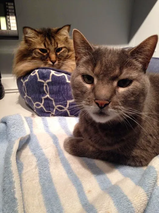 Upper Arlington Veterinary Hospital Picture 10
