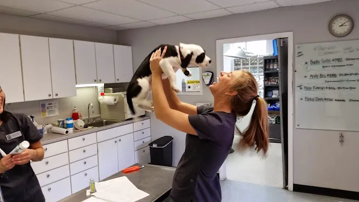Upper Arlington Veterinary Hospital Picture 9
