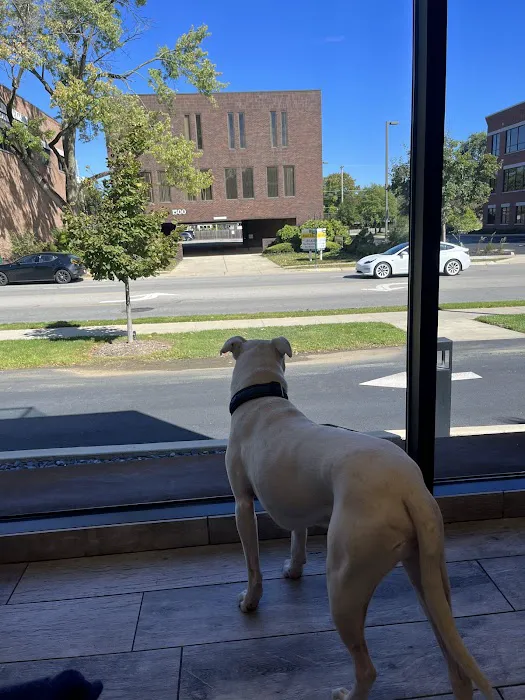 Upper Arlington Veterinary Hospital Picture 3