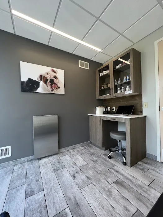 Upper Arlington Veterinary Hospital Picture 8