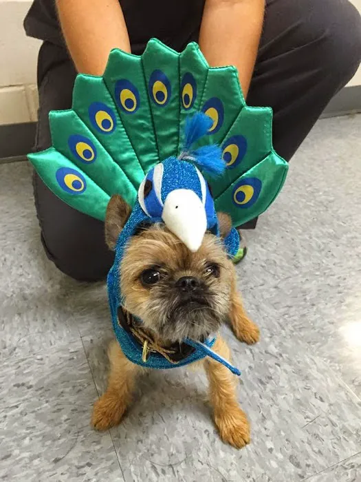 Upper Arlington Veterinary Hospital Picture 2