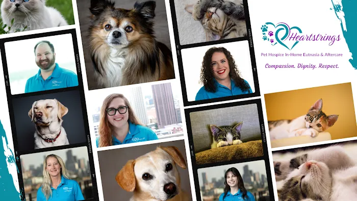 Heartstrings Pet Hospice In-Home Euthanasia & Aftercare Picture 8