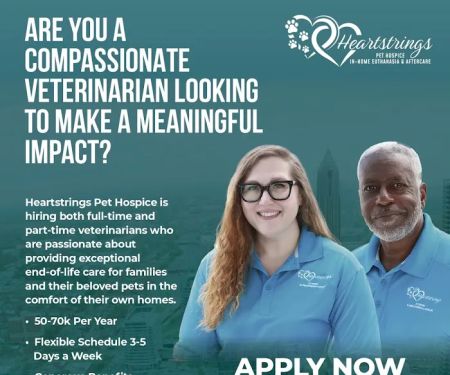 Heartstrings Pet Hospice In-Home Euthanasia & Aftercare