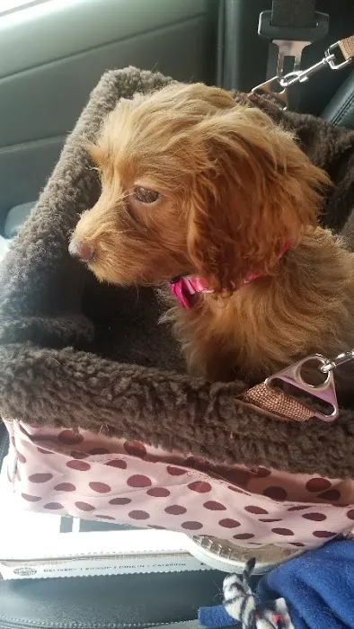 Banfield Pet Hospital Picture 9