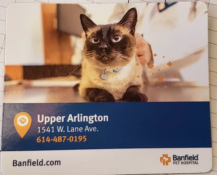 Banfield Pet Hospital Picture 4