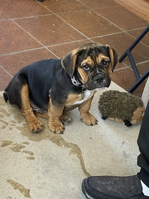 Northwest Animal Hospital Picture 8