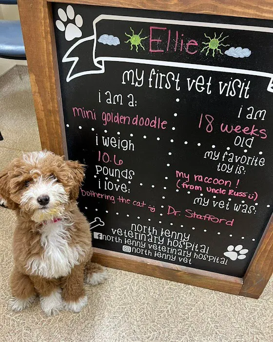 North Kenny Veterinary Hospital Picture 6