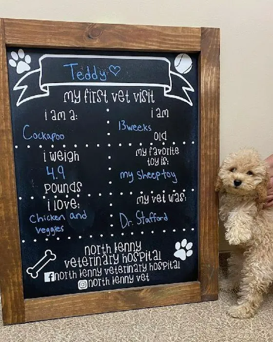 North Kenny Veterinary Hospital Picture 1