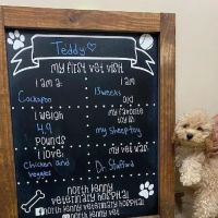 North Kenny Veterinary Hospital ico