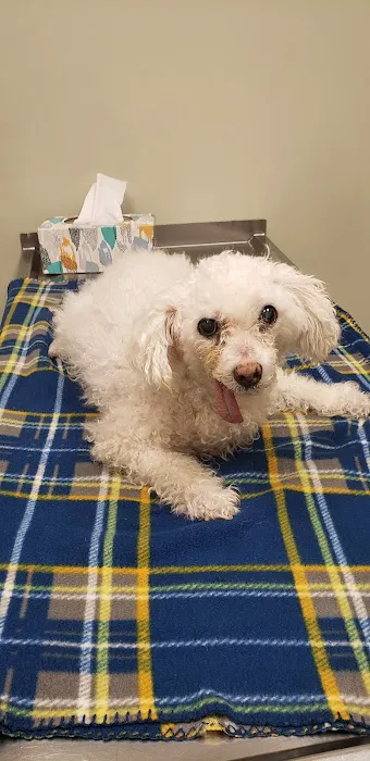 Bethel Animal Hospital Picture 5