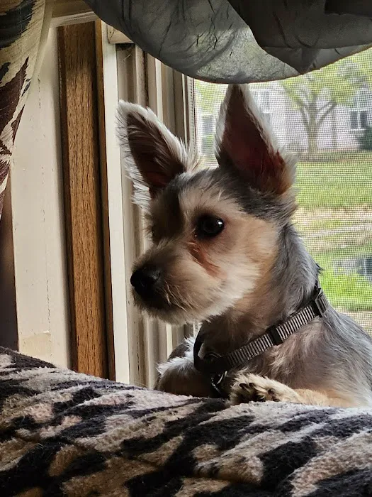 Healthy Pets of Westgate Picture 1