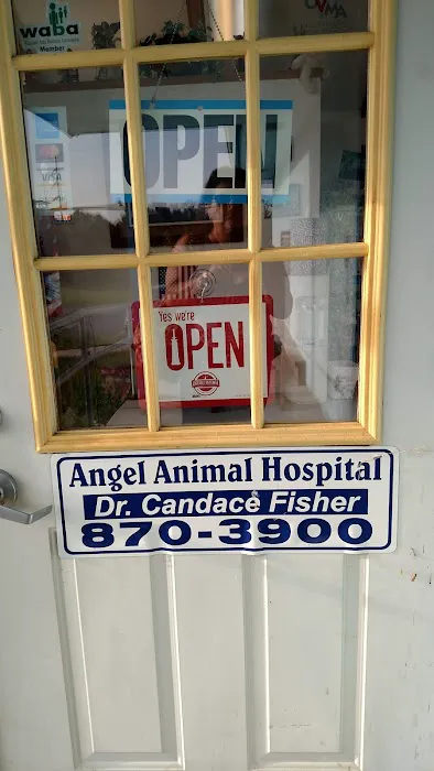 Angel Animal Hospital Picture 6