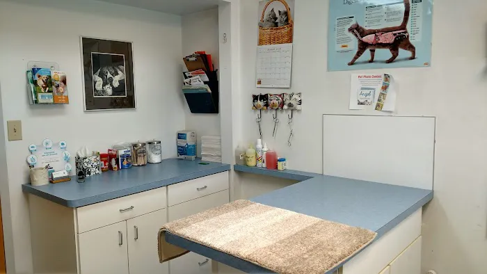 Angel Animal Hospital Picture 9
