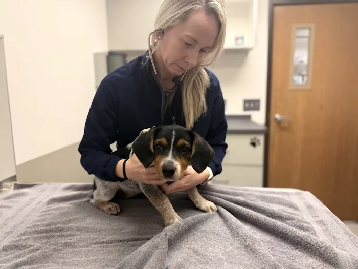 Suburban Animal Clinic Picture 3
