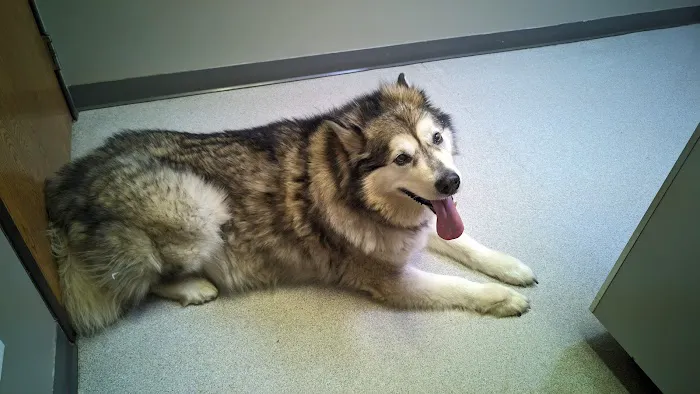 Suburban Animal Clinic Picture 2