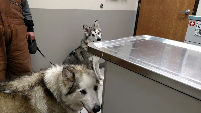 Suburban Animal Clinic Picture 8
